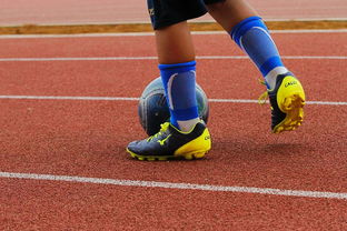 ac米兰中文官方网站-意甲年轻球员防守意识发展趋势研究，意甲年轻后卫